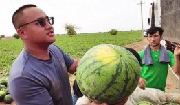 失落吃瓜完整版,揭秘娱乐圈背后的真相与争议