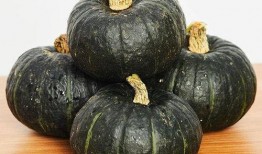 小孩吃田瓜好吗,儿童健康饮食新选择