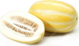 吃瓜之后舌头麻,吃瓜后的奇妙体验