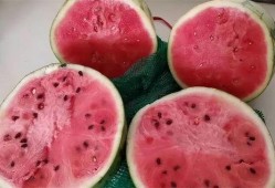 孕妇梦见吃麒麟瓜,孕妇的神秘预兆与美好寓意