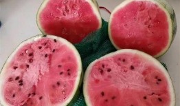 孕妇梦见吃麒麟瓜,孕妇的神秘预兆与美好寓意