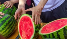 异地出差外卖吃大瓜,一场舌尖上的美食之旅