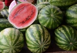 永康吃瓜事件后续情况,真相大白，后续发展及社会影响全解析