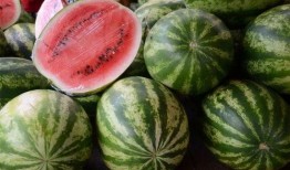 永康吃瓜事件后续情况,真相大白，后续发展及社会影响全解析