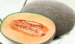 吃哈密瓜和白瓜嘴麻,揭秘嘴麻的秘密之旅