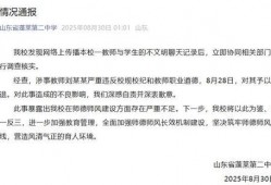 在线吃瓜蓬莱,揭秘网络热点的幕后故事