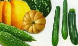 wb吃瓜队,揭秘娱乐圈幕后风云