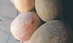 马哥吃大瓜,揭秘娱乐圈幕后故事