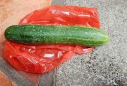 什么瓜可以生烫吃,揭秘生烫瓜果的神奇魅力