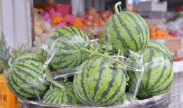 吃瓜坏叔叔,网络红人背后的故事与争议