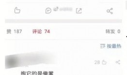 认真吃瓜666,揭秘“认真吃瓜666”背后的故事