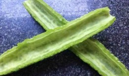 不如坐下吃瓜,瓜田笑谈间——不如坐下吃瓜