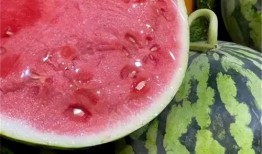 孕妇梦见吃麒麟瓜,孕妇的神秘预兆与美好寓意