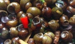 公婆吃瓜,揭秘家庭纷争背后的真相