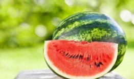 夏天吃瓜就得这样吃,瓜果盛宴，尽享清凉时光