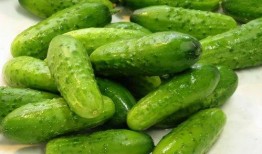 梦见多人在瓜地吃瓜,多人共享瓜田盛宴