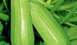 新誉佳吃瓜,揭秘娱乐圈背后的那些事儿