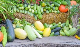 波哥吃瓜季,揭秘娱乐圈幕后风云