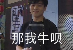 认真吃瓜666,揭秘“认真吃瓜666”背后的故事