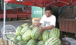 波哥吃瓜季,揭秘娱乐圈幕后风云