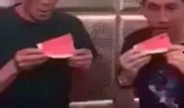 吃瓜最高境界视频,视频中的趣味与智慧