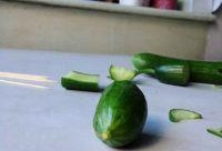 防老鼠吃瓜方法,揭秘防老鼠吃瓜的神奇方法