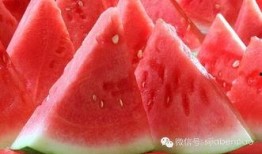 波哥吃瓜季,揭秘娱乐圈幕后风云