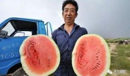 甘肃的吃瓜,探寻陇上美食之旅