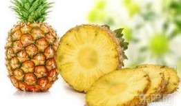 跑完步可不可以吃哈密瓜,跑步后适宜食用哈密瓜的探讨