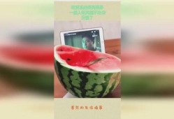 吃瓜最高境界视频,视频中的趣味与智慧