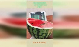 吃瓜最高境界视频,视频中的趣味与智慧