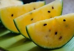 甘肃的吃瓜,探寻陇上美食之旅