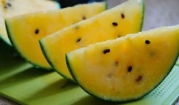 甘肃的吃瓜,探寻陇上美食之旅