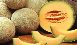 吃哈密瓜和白瓜嘴麻,揭秘嘴麻的秘密之旅