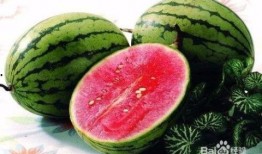 夏天吃瓜就得这样吃,瓜果盛宴，尽享清凉时光