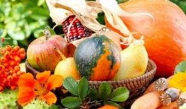 梦见吃不好瓜,吃不好瓜背后的寓意与启示